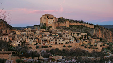 Weinbaugebiet Aragón, aufstrebendes Juwel in der spanischen Weinszene