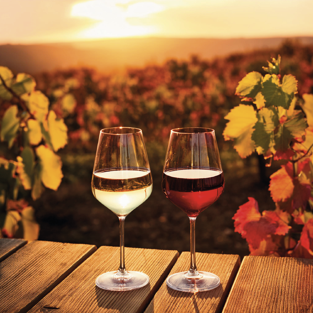 Alle Produkte Vinos Online