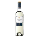 Marques de Riscal Verdejo Blanco Weisswein vinos-online